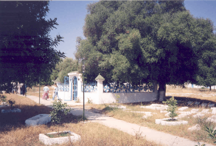 Rabbi Amram ben Diwane, picture 8